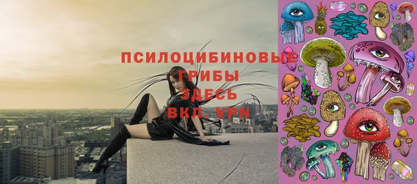 крисы Абинск