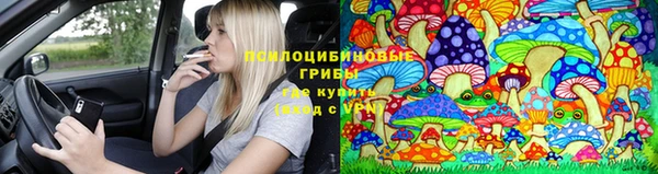 первитин Мегион