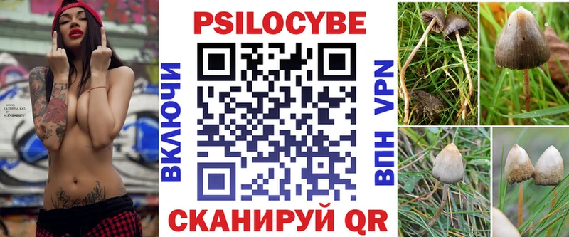 Псилоцибиновые грибы мухоморы  блэк спрут сайт  Хасавюрт 